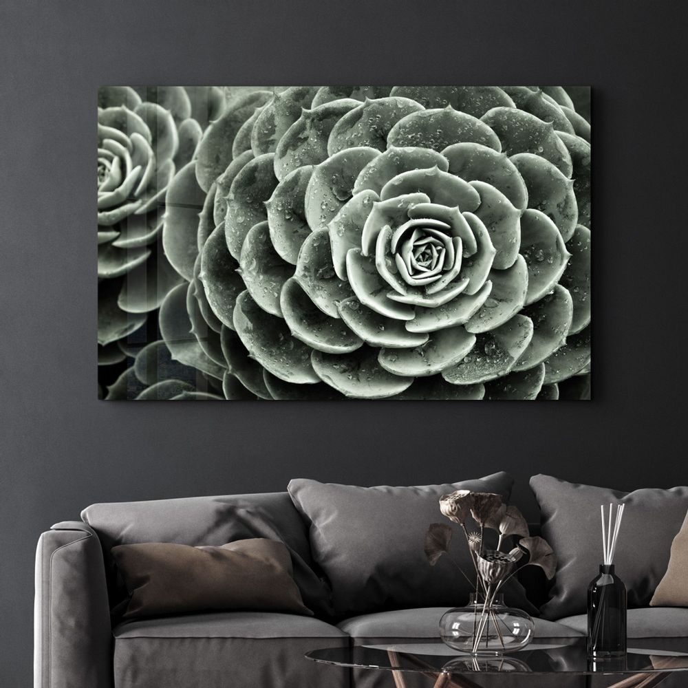 Autres décorations murales - Raindrops On Echeveria | Glass Wall Art - ARTDESIGNA