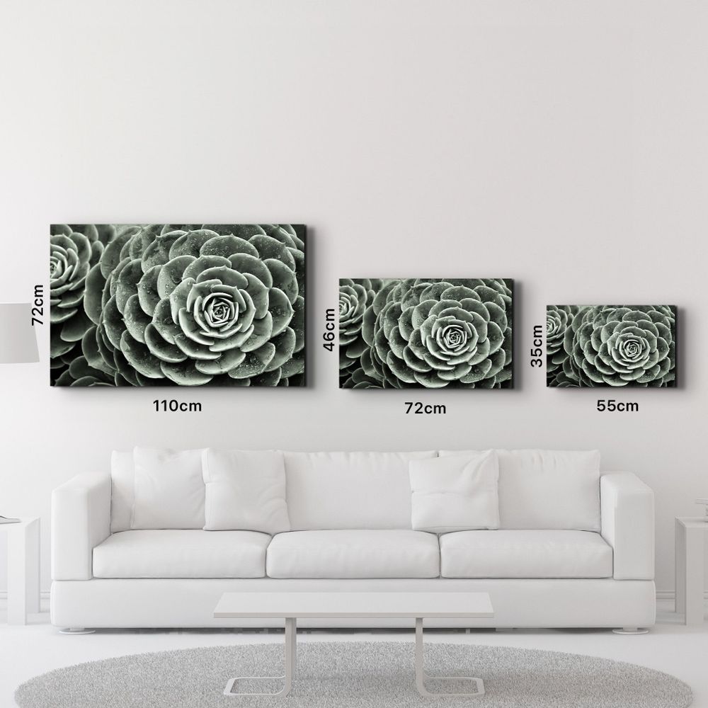Autres décorations murales - Raindrops On Echeveria | Glass Wall Art - ARTDESIGNA