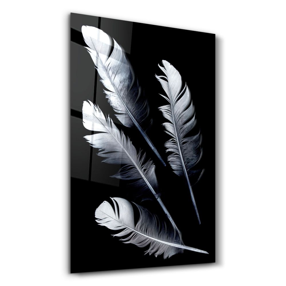 Other wall decoration - White Feathers | Glass Wall Art - ARTDESIGNA
