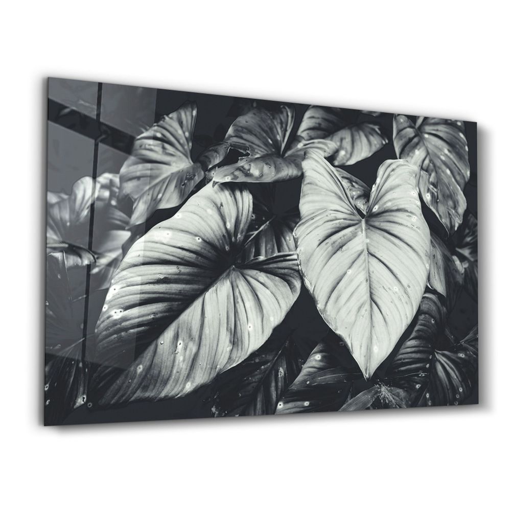 Other wall decoration - Elephant's Ears | Glass Wall Art - ARTDESIGNA