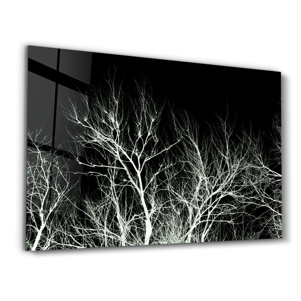 Other wall decoration - Negative | Glass Wall Art - ARTDESIGNA