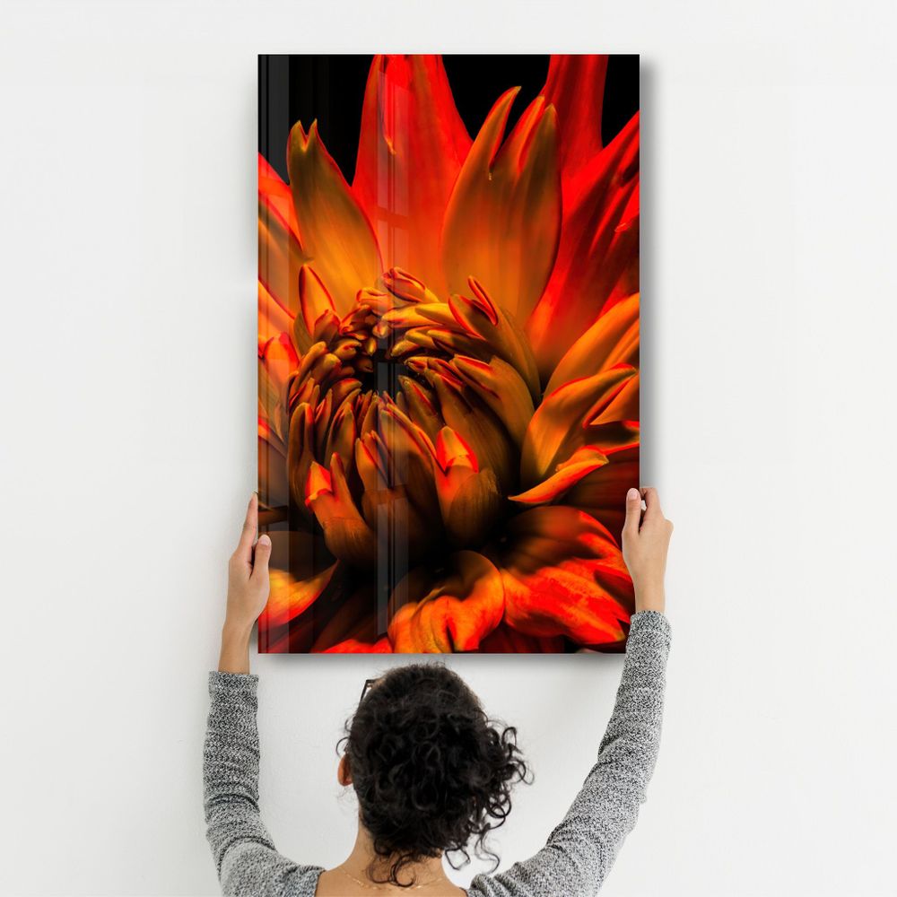 Other wall decoration - Orange Daisy | Glass Wall Art - ARTDESIGNA