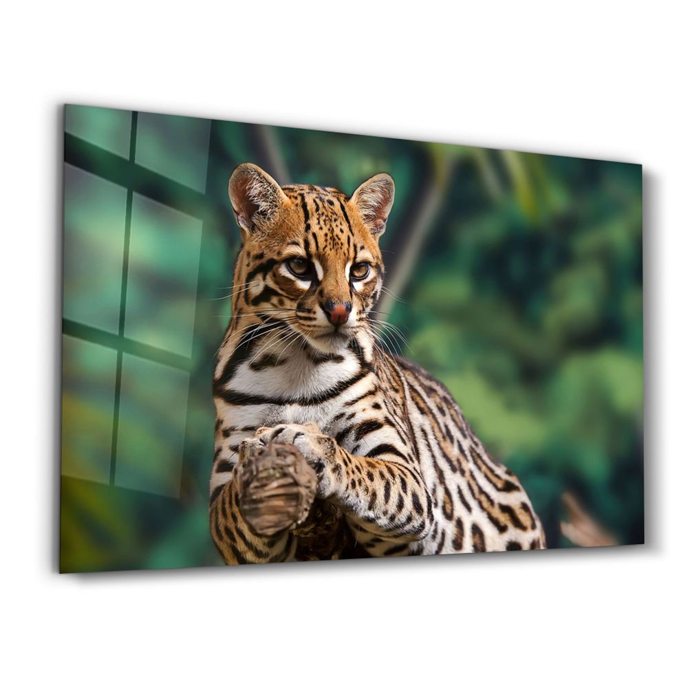 Other wall decoration - Just Chillin | Glass Wall Art - ARTDESIGNA