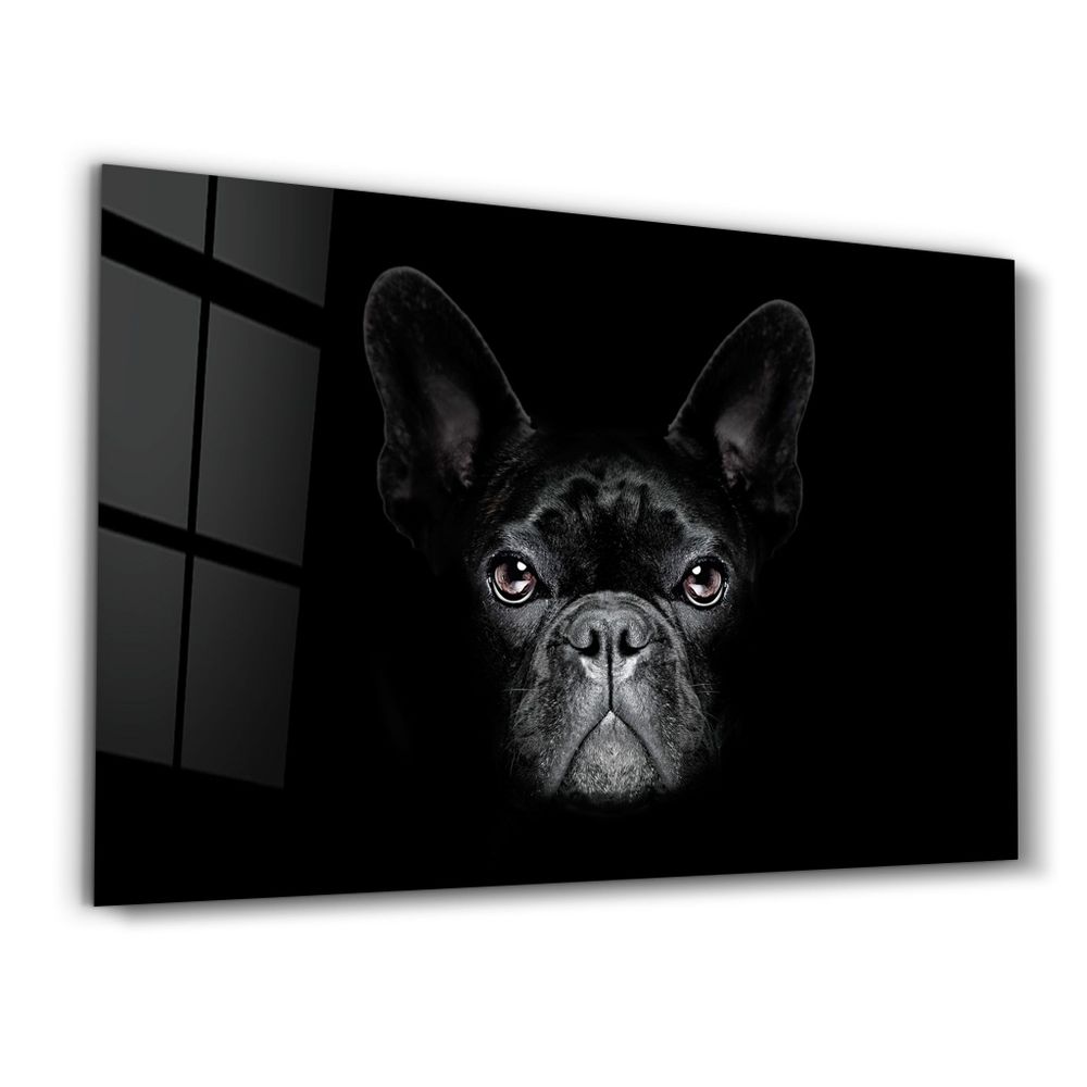 Other wall decoration - The Pug | Glass Wall Art - ARTDESIGNA
