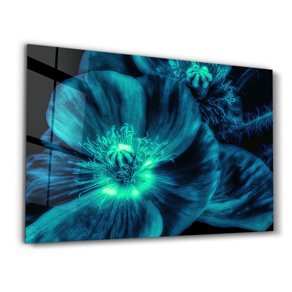 Autres décorations murales - Morning Glory | Glass Wall Art - ARTDESIGNA