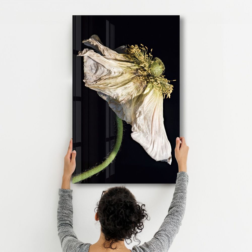 Autres décorations murales - In Peril Of One's Life | Glass Wall Art - ARTDESIGNA