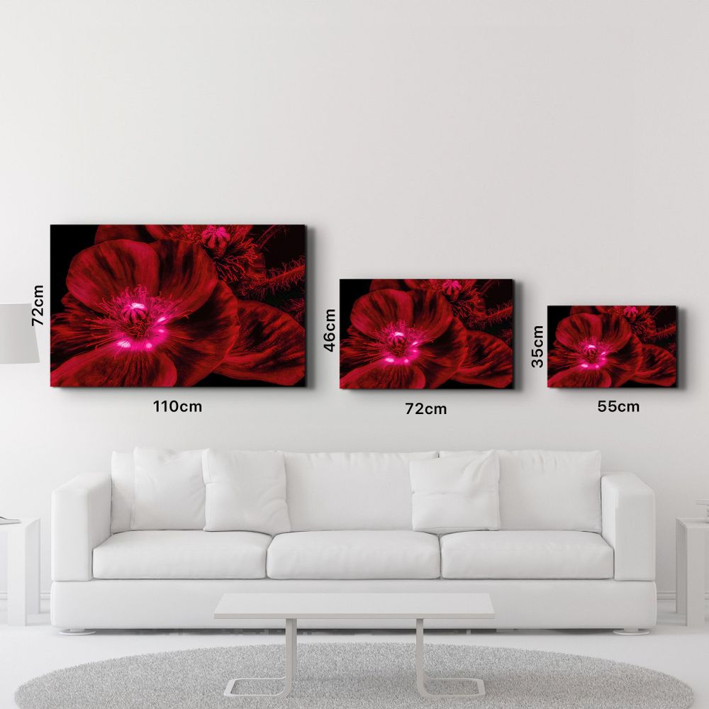 Other wall decoration - Morning Glory V2 | Glass Wall Art - ARTDESIGNA