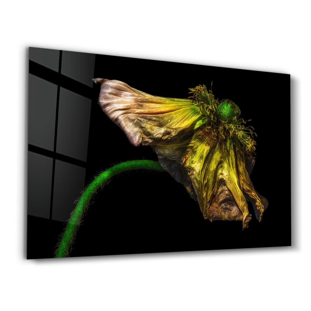 Autres décorations murales - In Peril Of One's Life V2 | Glass Wall Art - ARTDESIGNA