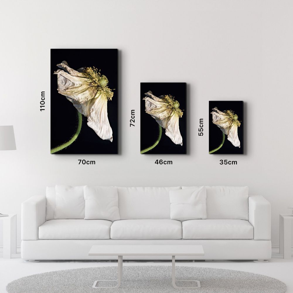 Autres décorations murales - In Peril Of One's Life | Glass Wall Art - ARTDESIGNA