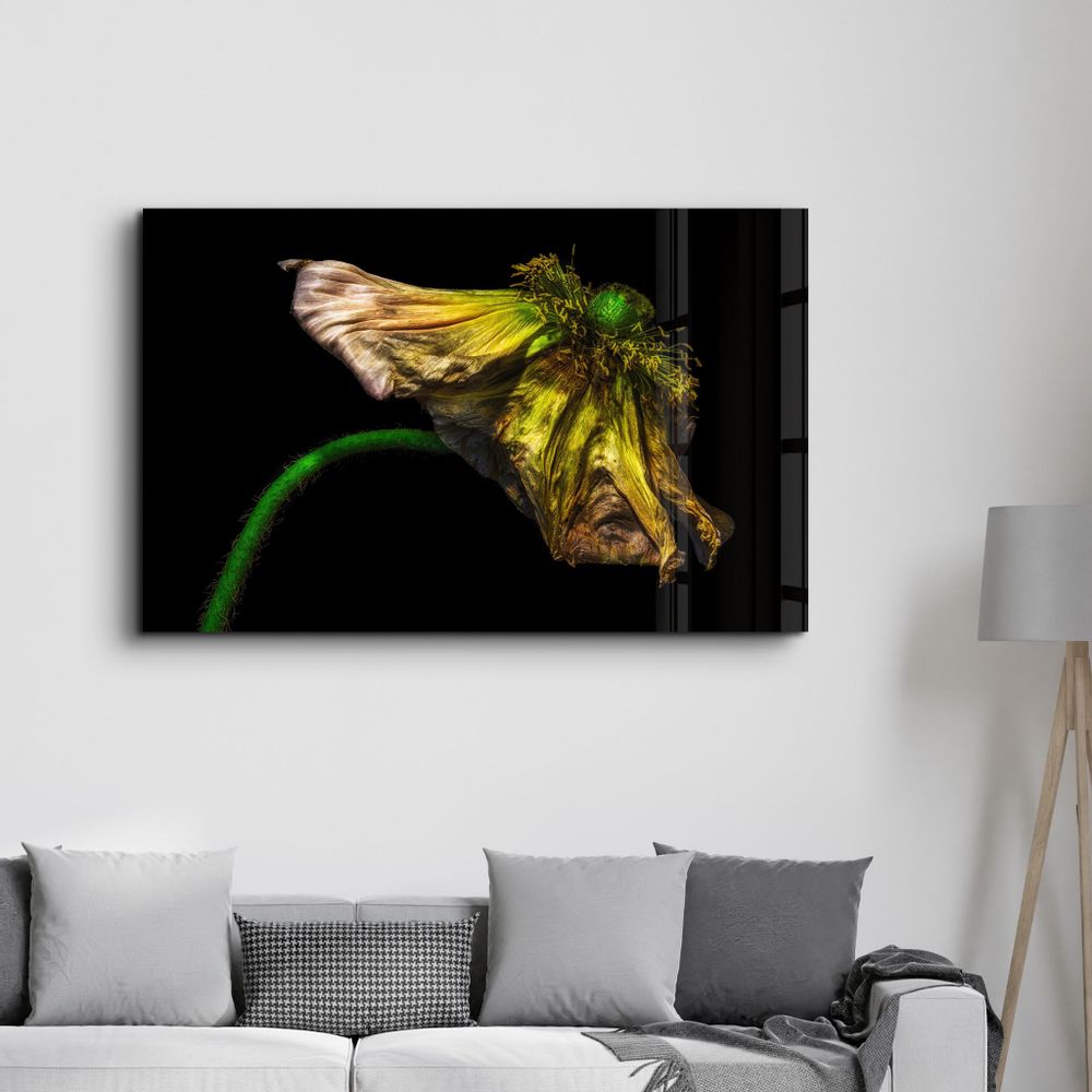 Autres décorations murales - In Peril Of One's Life V2 | Glass Wall Art - ARTDESIGNA