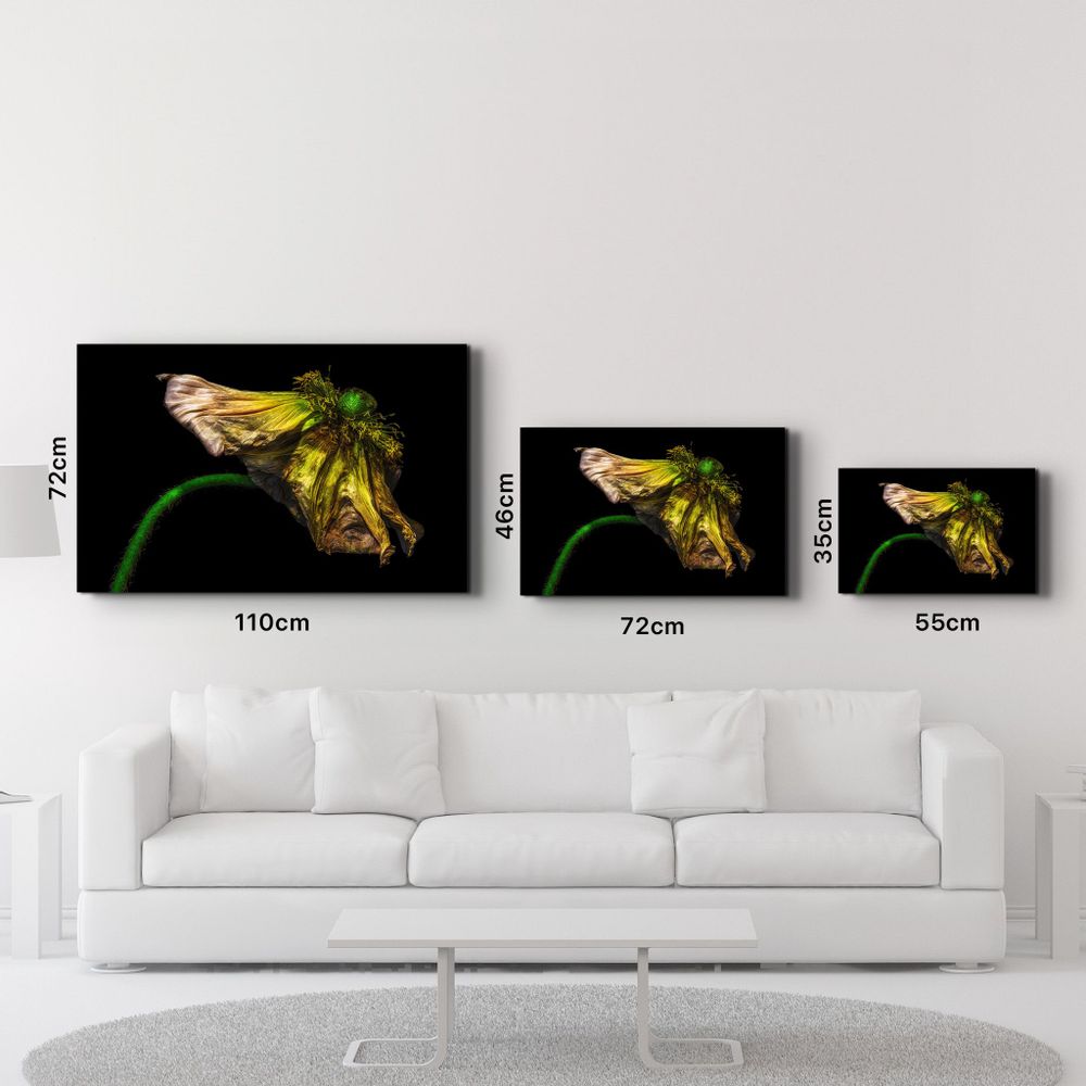 Autres décorations murales - In Peril Of One's Life V2 | Glass Wall Art - ARTDESIGNA