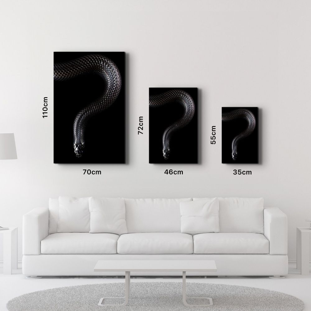 Autres décorations murales - The black Mamba | Glass Wall Art - ARTDESIGNA
