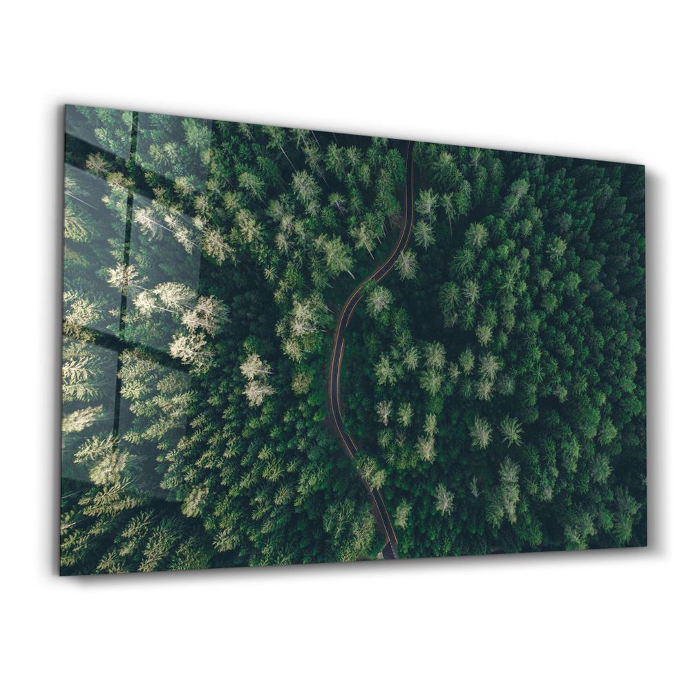 Other wall decoration - Divided Forest | Glass Wall Art - ARTDESIGNA