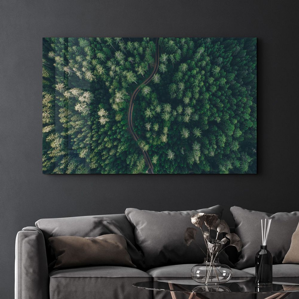 Other wall decoration - Divided Forest | Glass Wall Art - ARTDESIGNA