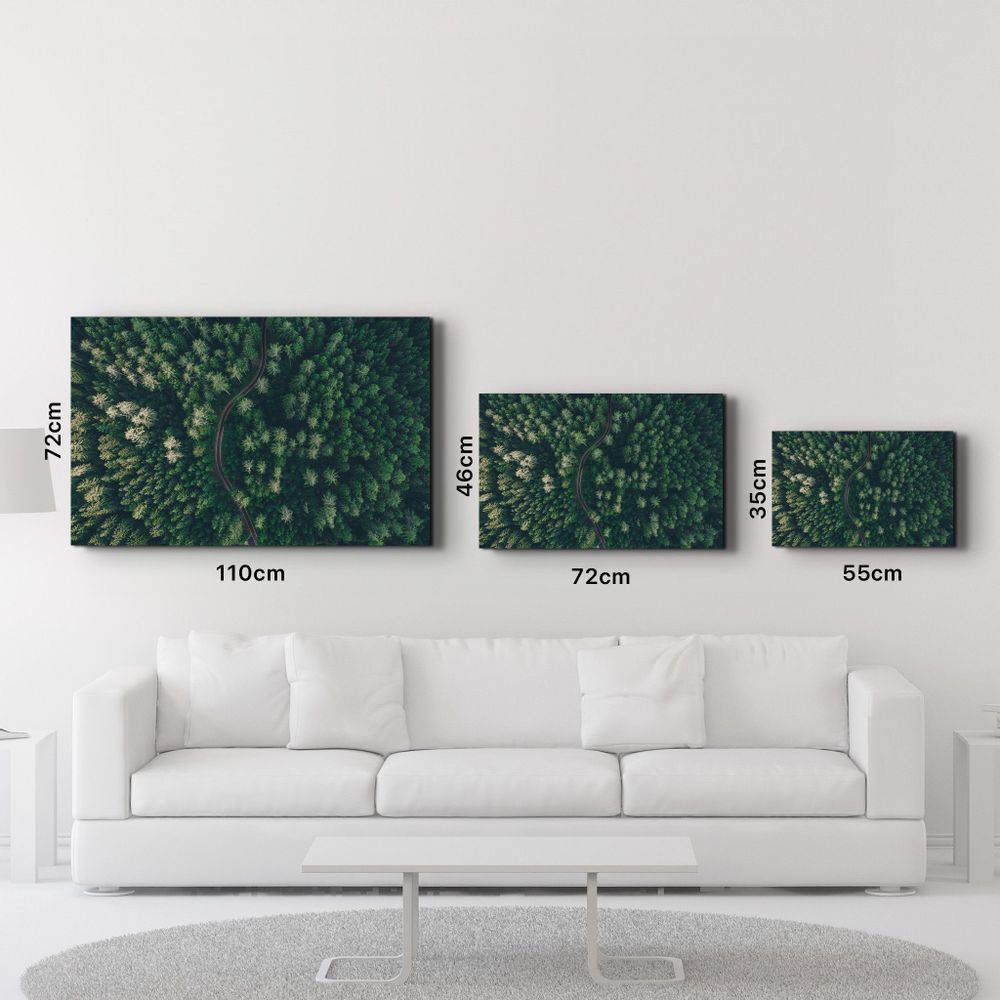 Other wall decoration - Divided Forest | Glass Wall Art - ARTDESIGNA