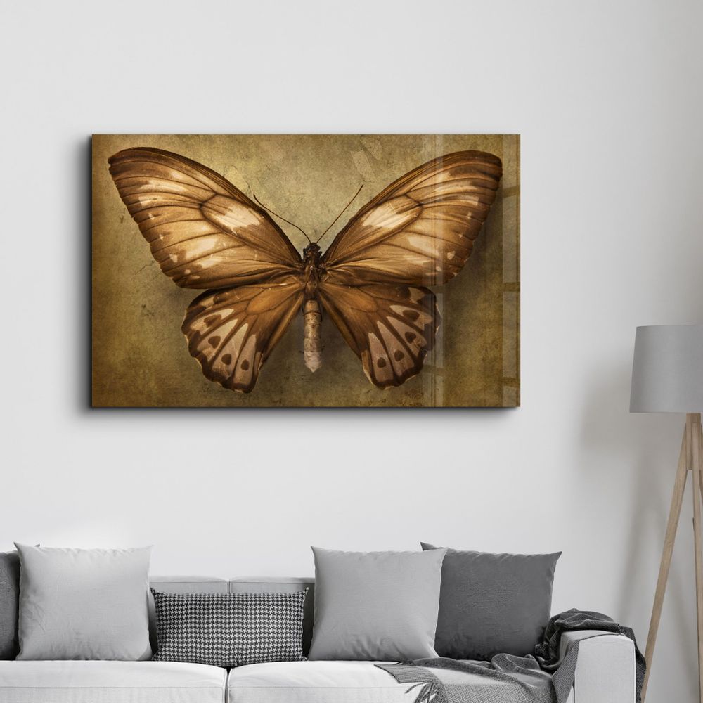 Autres décorations murales - Vintage Butterfly | Glass Wall Art - ARTDESIGNA
