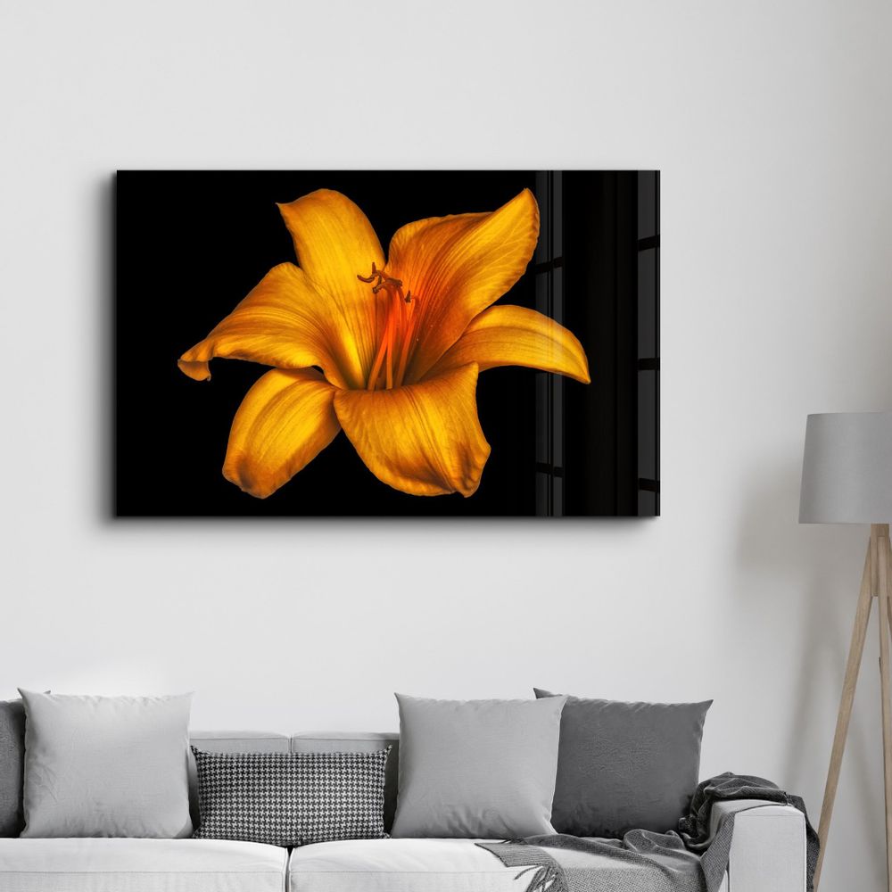 Other wall decoration - Orange Lily | Glass Wall Art - ARTDESIGNA
