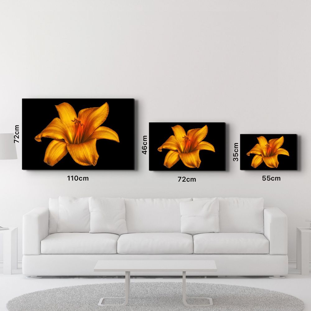 Other wall decoration - Orange Lily | Glass Wall Art - ARTDESIGNA