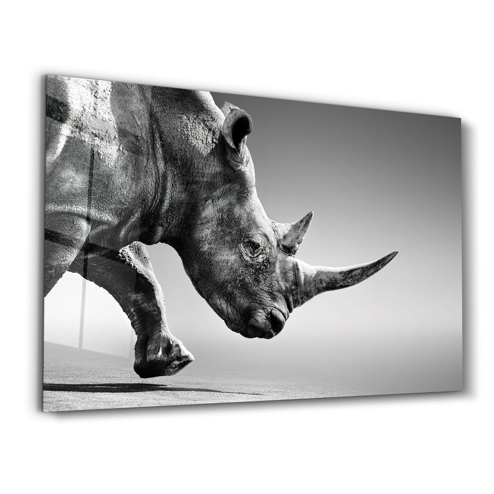 Autres décorations murales - Black Rhinoceros | Glass Wall Art - ARTDESIGNA