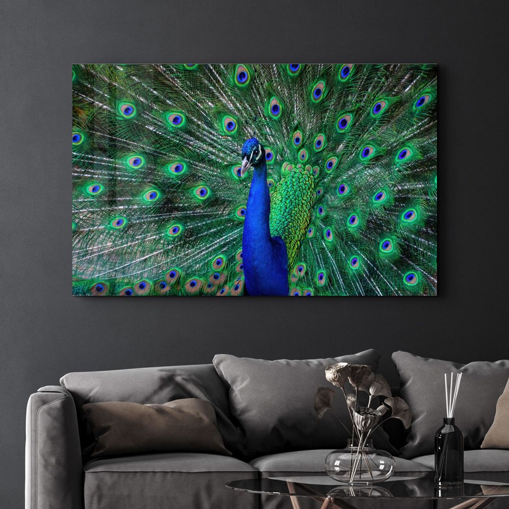 Other wall decoration - The Peacock | Glass Wall Art - ARTDESIGNA