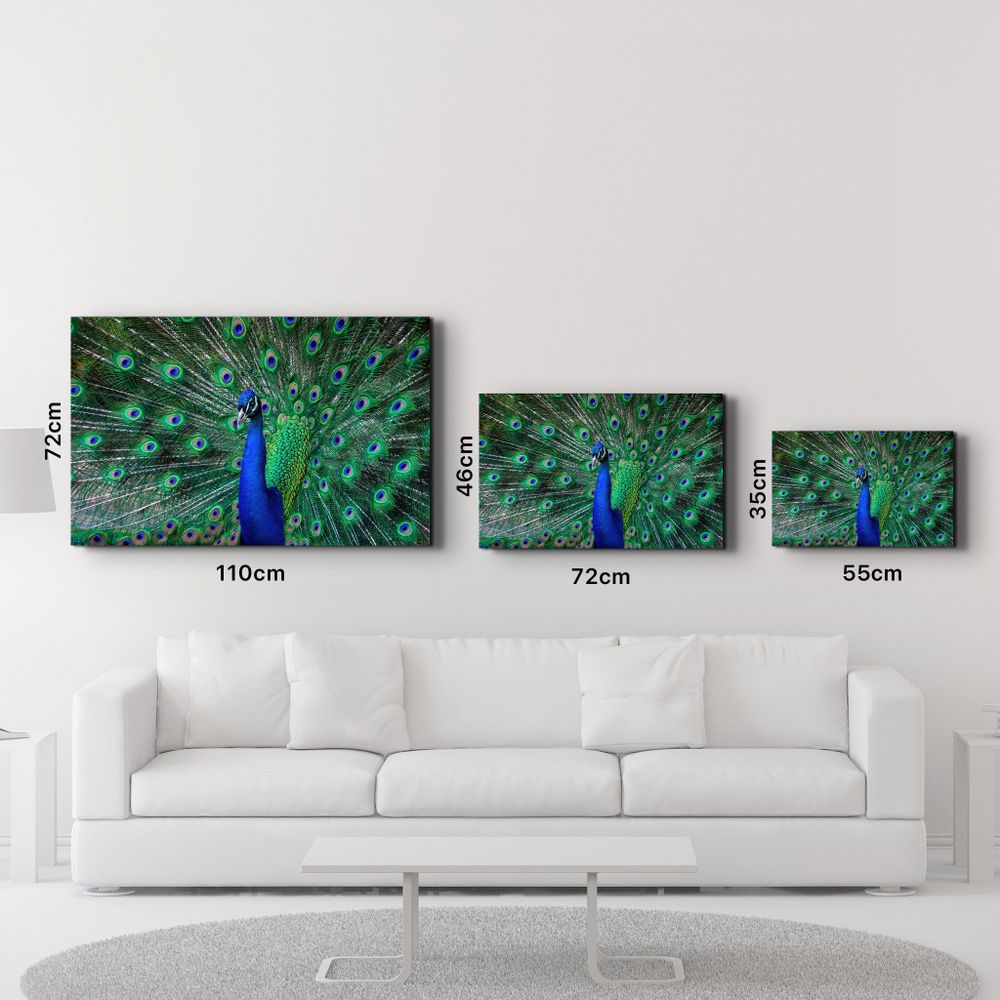 Other wall decoration - The Peacock | Glass Wall Art - ARTDESIGNA