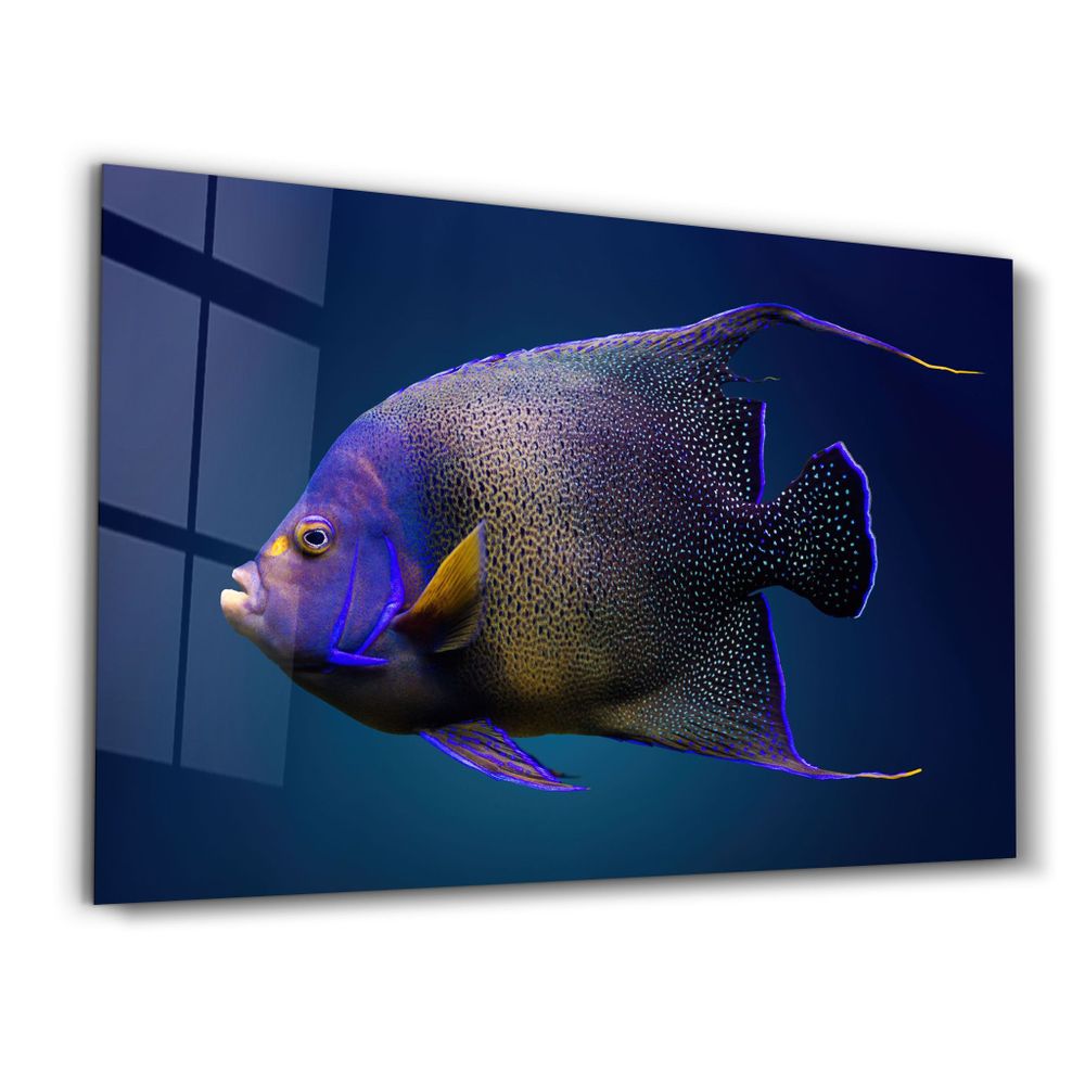 Other wall decoration - Exotic Fish | GLASS WALL ART - ARTDESIGNA