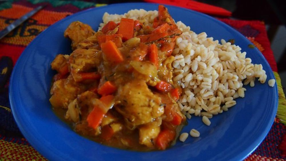 Delicatessen - Turkey Navarin with Spring Vegetables - 380g - METSTERROIR
