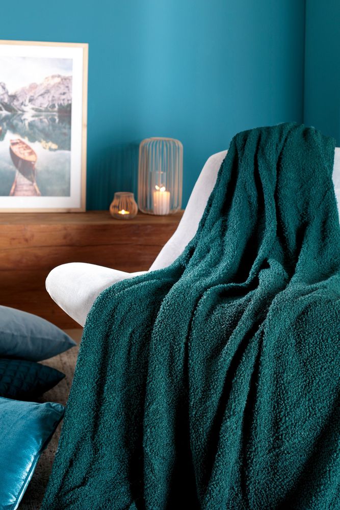 Throw blankets - Teddy blanket - BIEDERLACK