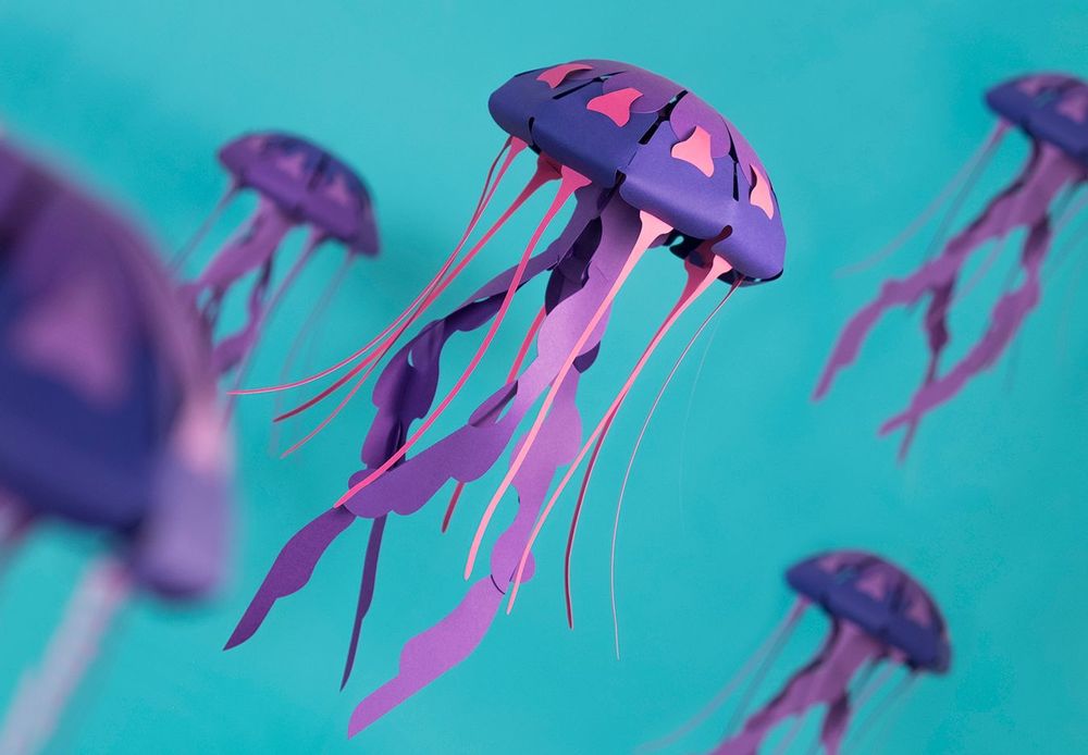Children's arts and crafts - Chrysaora hysoscella - PLEGO