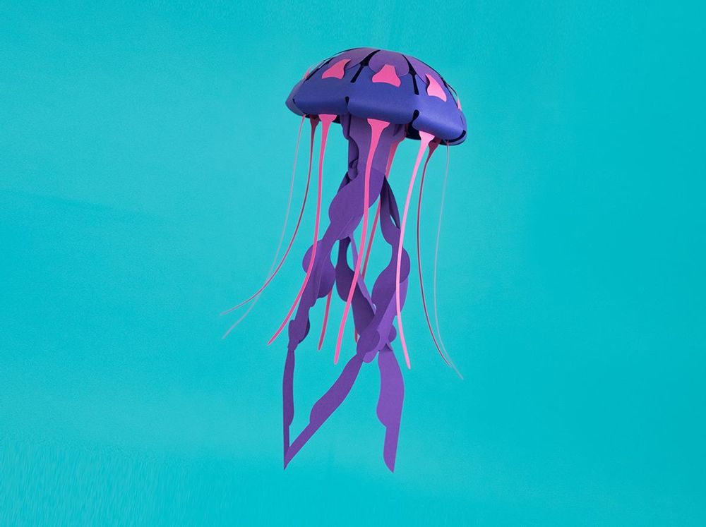 Children's arts and crafts - Chrysaora hysoscella - PLEGO