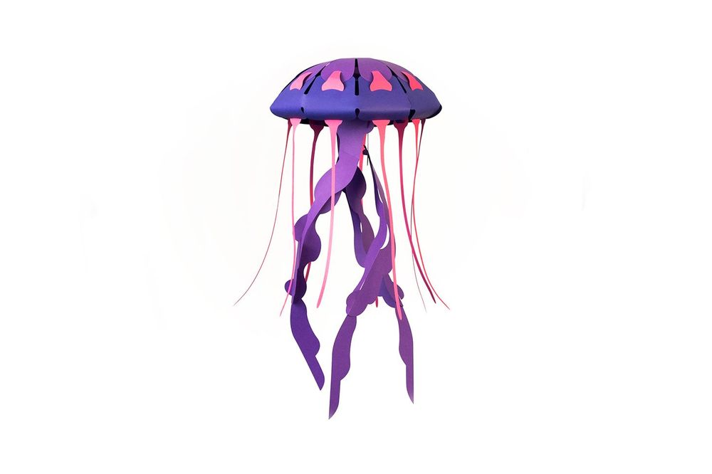Children's arts and crafts - Chrysaora hysoscella - PLEGO