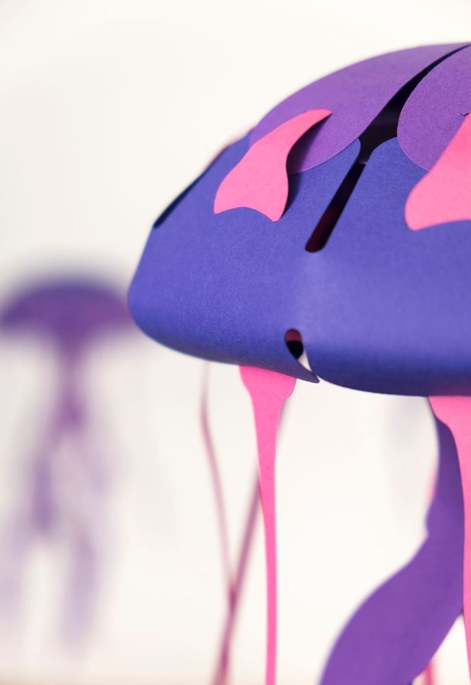 Children's arts and crafts - Chrysaora hysoscella - PLEGO