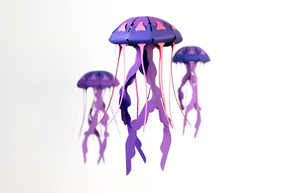 Children's arts and crafts - Chrysaora hysoscella - PLEGO