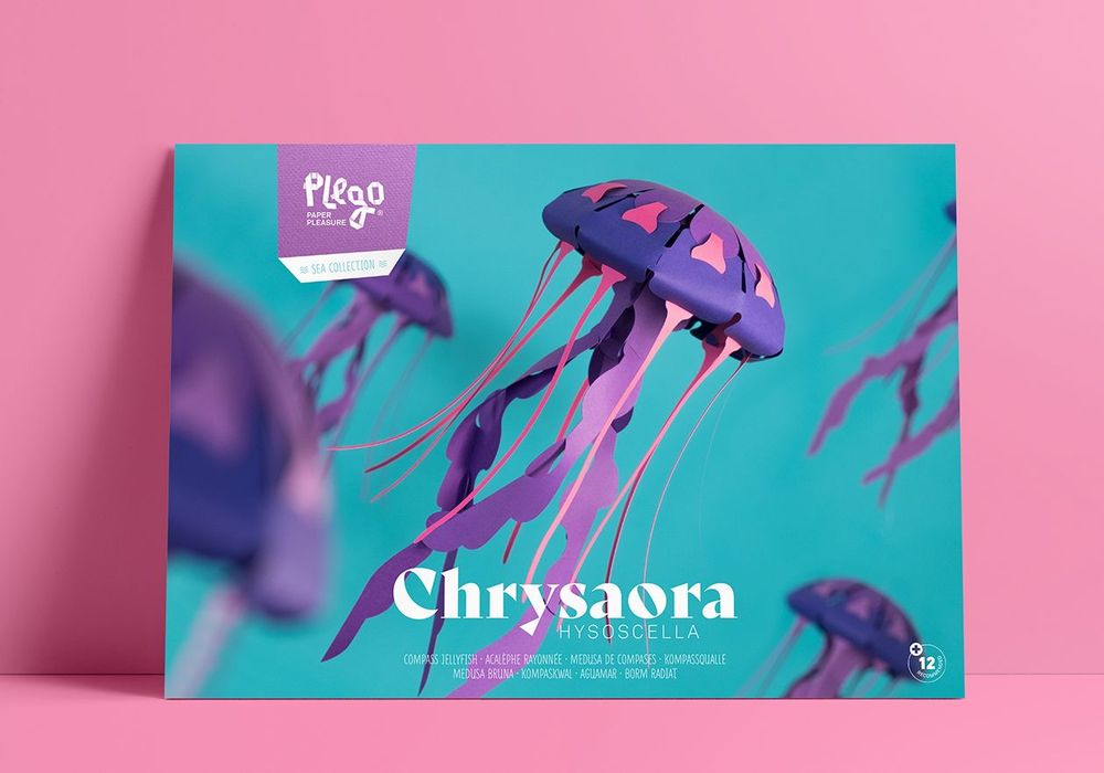 Children's arts and crafts - Chrysaora hysoscella - PLEGO