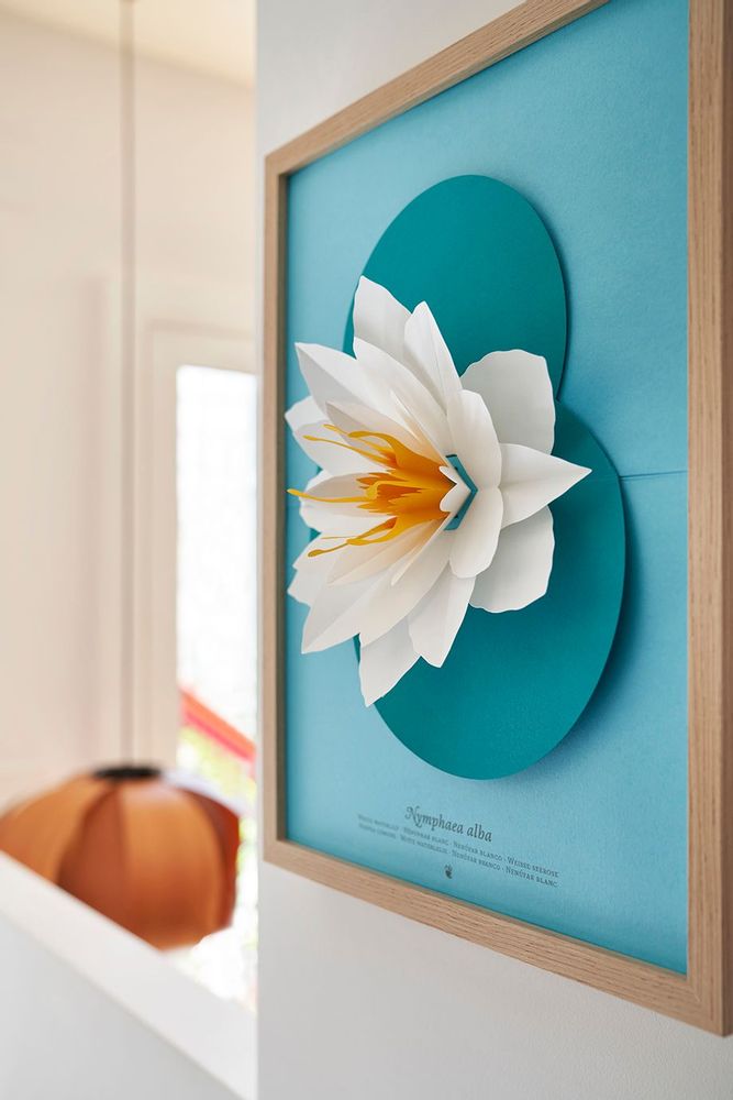 Floral decoration - Nymphaea alba - PLEGO