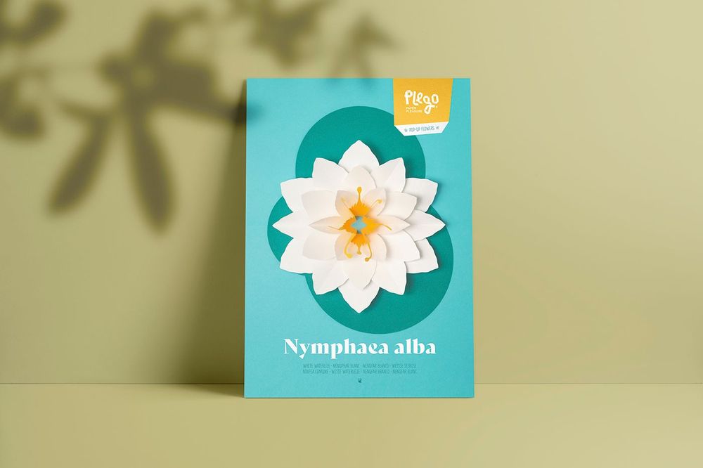 Floral decoration - Nymphaea alba - PLEGO