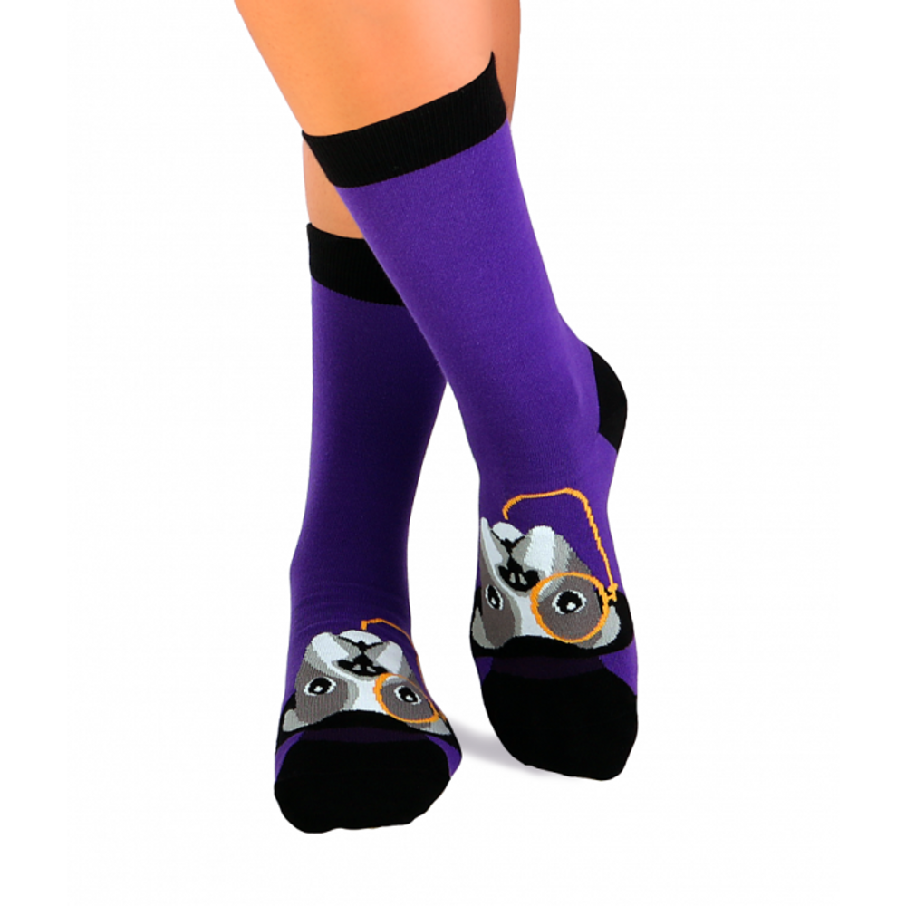 Chaussettes - Chaussettes en coton Arty Chiens - PIRIN HILL