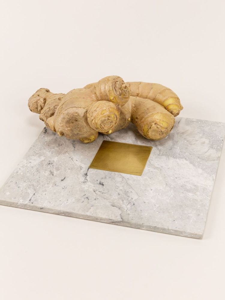 Objets de décoration - Dessous de plat Cygnus en pierre naturelle - L INDOCHINEUR X RIVÊT