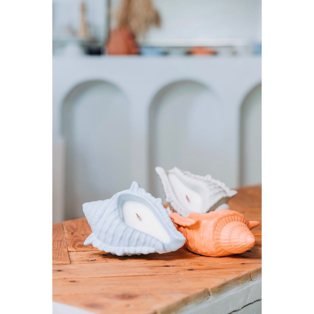 Decorative objects - Marisco monoi shell candle - AGUA BENTA
