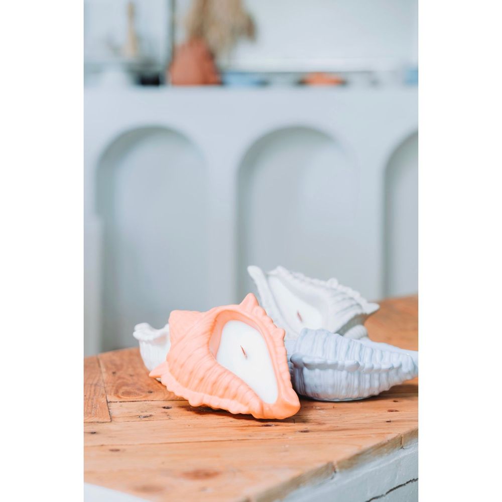 Decorative objects - Marisco monoi shell candle - AGUA BENTA