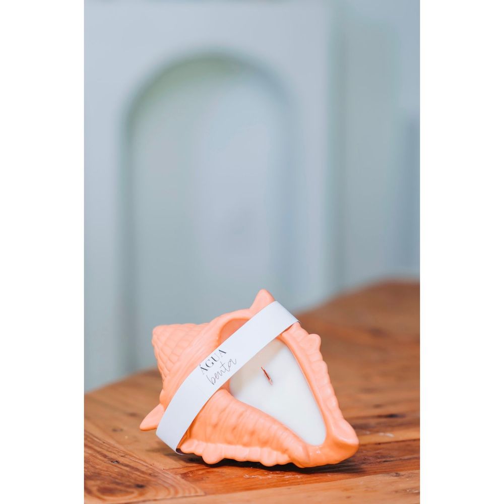 Decorative objects - Marisco monoi shell candle - AGUA BENTA