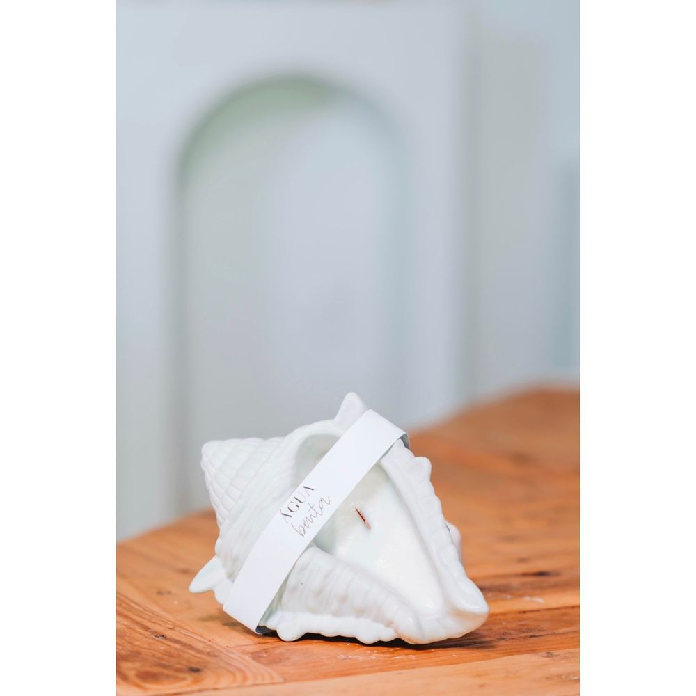 Decorative objects - Marisco monoi shell candle - AGUA BENTA