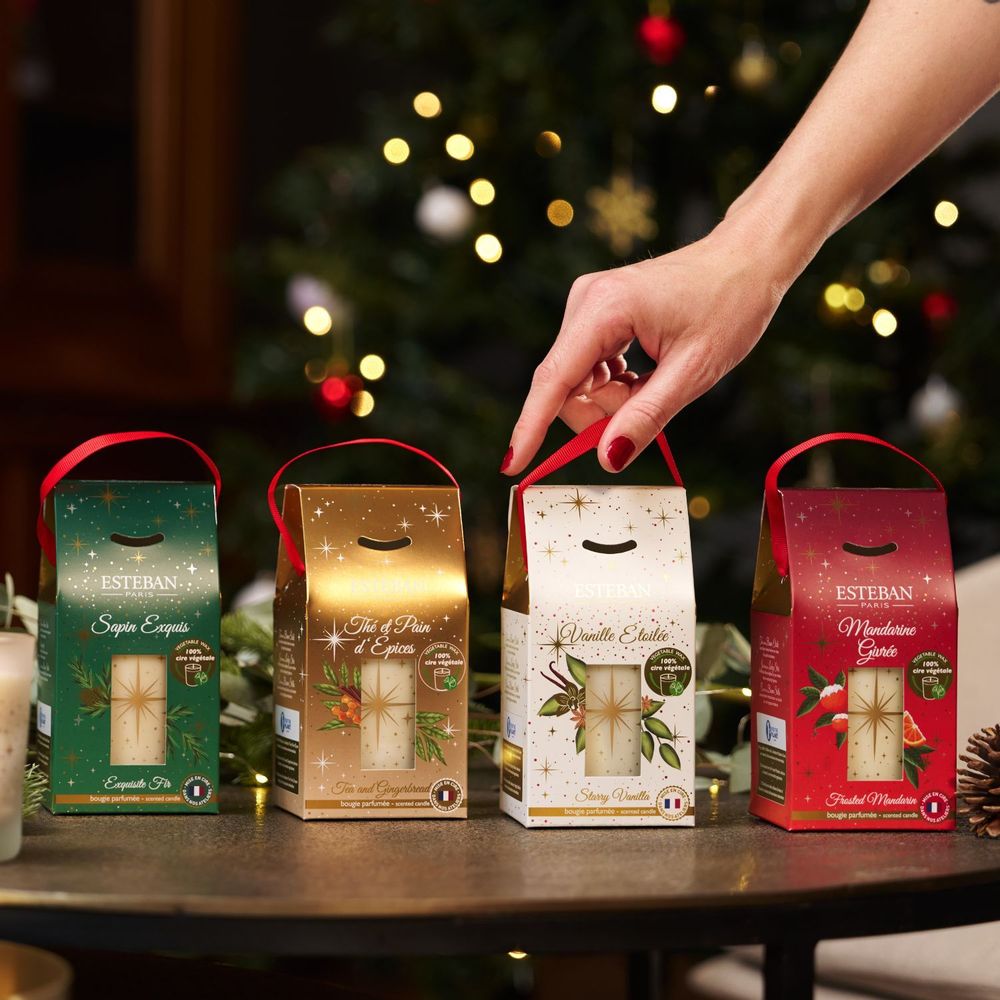 Autres décorations de Noël - Edition limitée Noël Bonne Etoile - ESTÉBAN