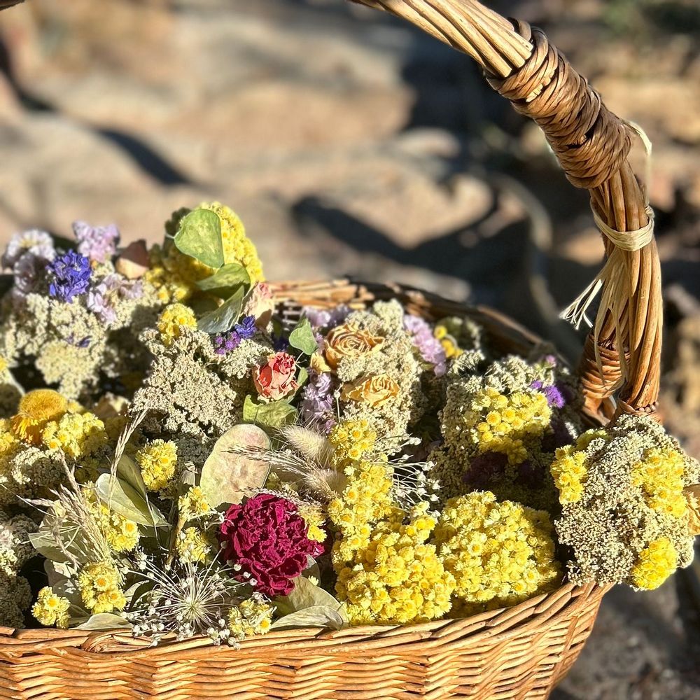 Floral decoration - Little Bouquets Mathéa - Dried flowers - TERRA FIORA