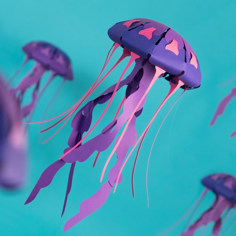Children's arts and crafts - Chrysaora hysoscella - PLEGO