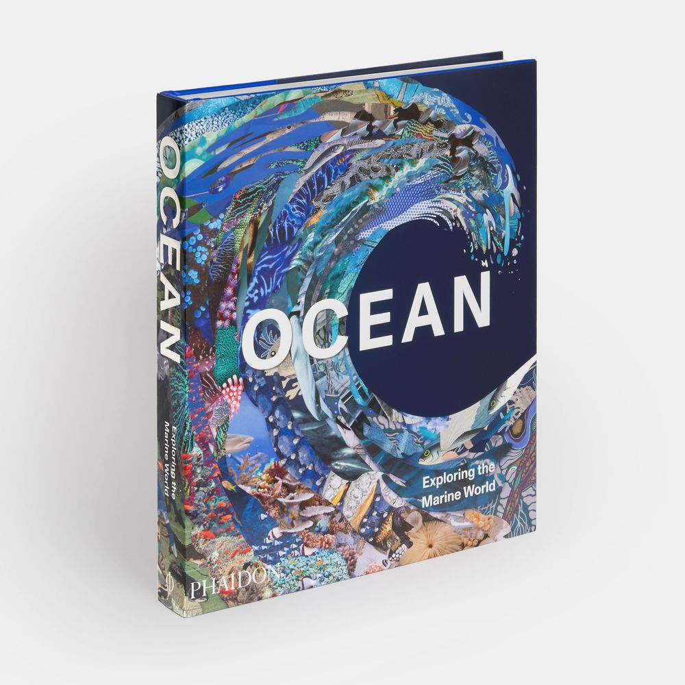Papeterie - Océans: Explorer le monde marin - PHAIDON