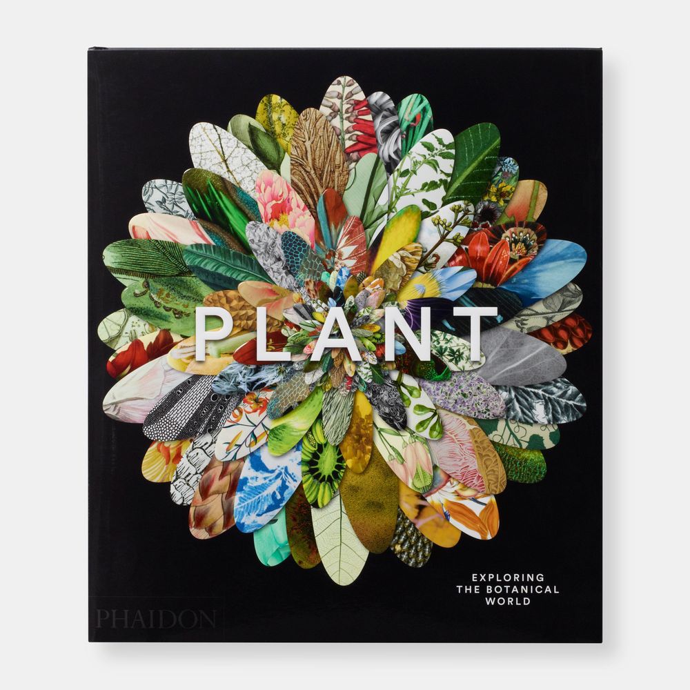 Papeterie - Végétal: Explorer le monde botanique - PHAIDON