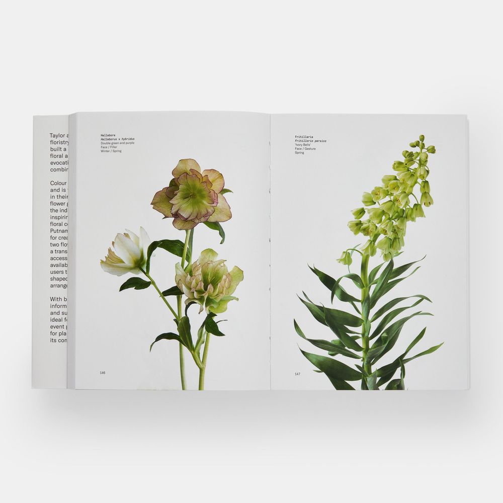 Papeterie - Guide des fleurs par couleurs - PHAIDON