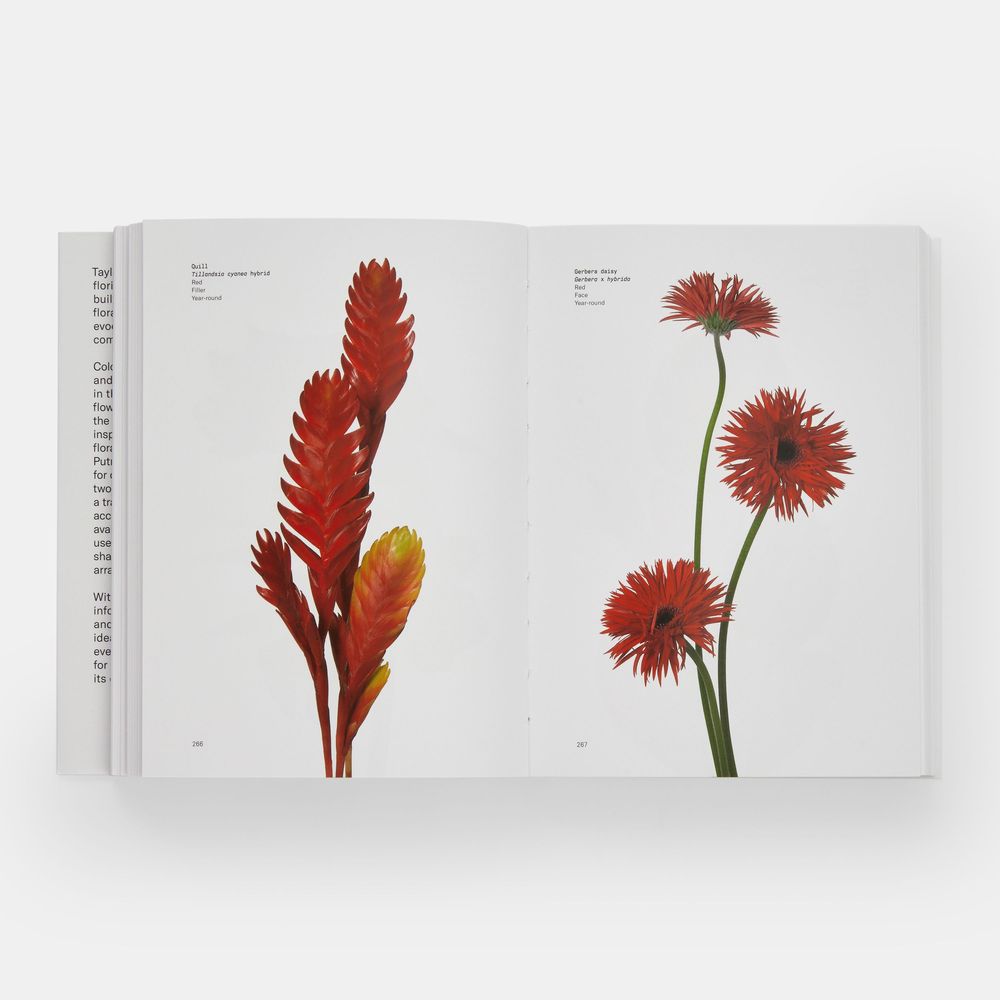 Papeterie - Guide des fleurs par couleurs - PHAIDON