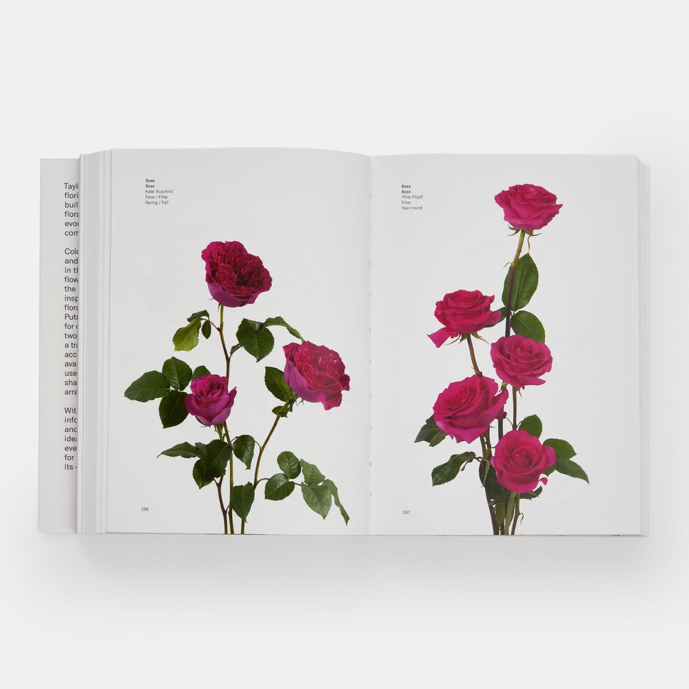 Papeterie - Guide des fleurs par couleurs - PHAIDON